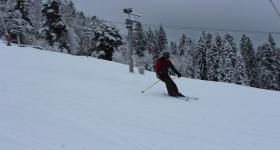 IMG 4518