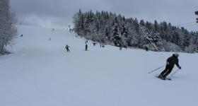 IMG 4536