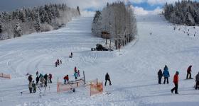IMG 4551