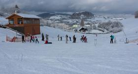 IMG 4555