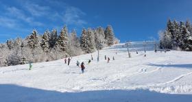 IMG 4651